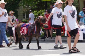 Entries Needed for July 4th Parade