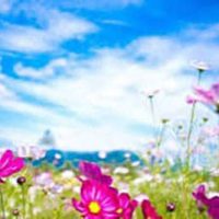 5/11: One Stop Spring Shoppe