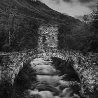 August photo club winners