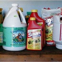 2024 Pesticide Collection