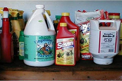 2024 Pesticide Collection