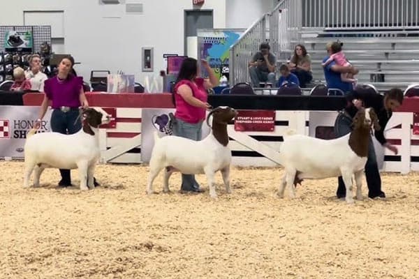 9/28: NRV Sheep & Goat Festival