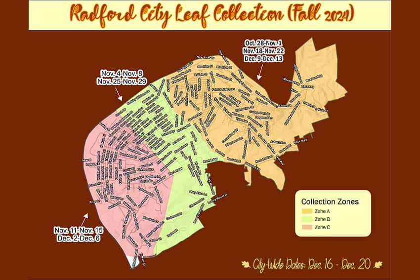 Radford Leaf Collection