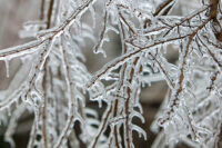 Winter Storm Update 2/12