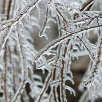 Winter Storm Update 2/12
