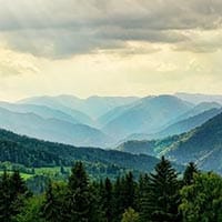 Cumbee, Darrell Wayne 2