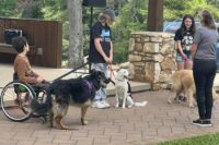 Floyd Rotary Dog Show June 8