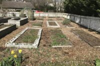 Christiansburg Community Garden