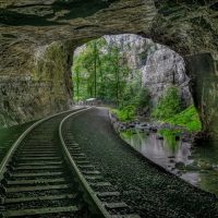 July photo club winner