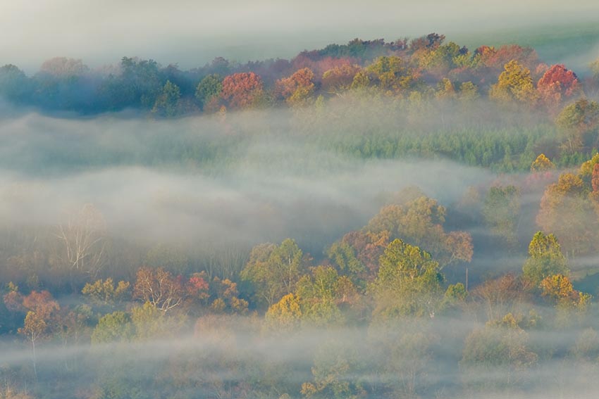 Diverse images win photo club contest 6 Diverse images win photo club contest 5