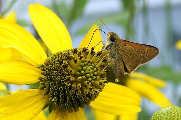 Diverse images win photo club contest 7 Diverse images win photo club contest 6