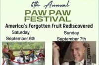 paw-paw-festival paw-paw-festival