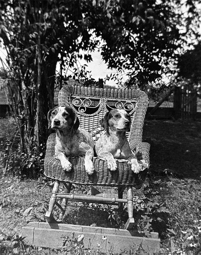 Kindly Mirrors at Glencoe Mansion 6