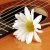 amem_guitar1