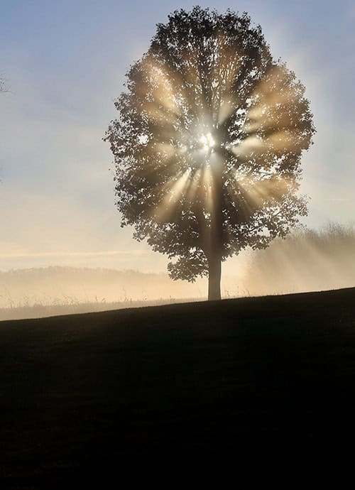 Lovely barn, foggy morning attract photographers 4