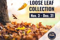 Loose Leaf Collection 2025 - 1