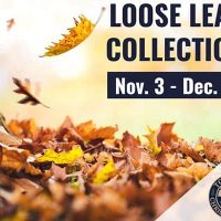 Loose Leaf Collection 2025 - 1