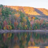 fall-foliage