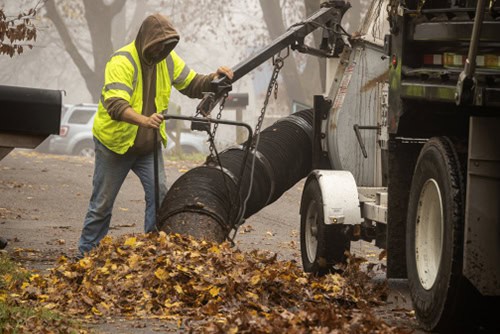 Blacksburg Leaf Collection 2