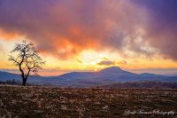 Buffalo Mountain Photo