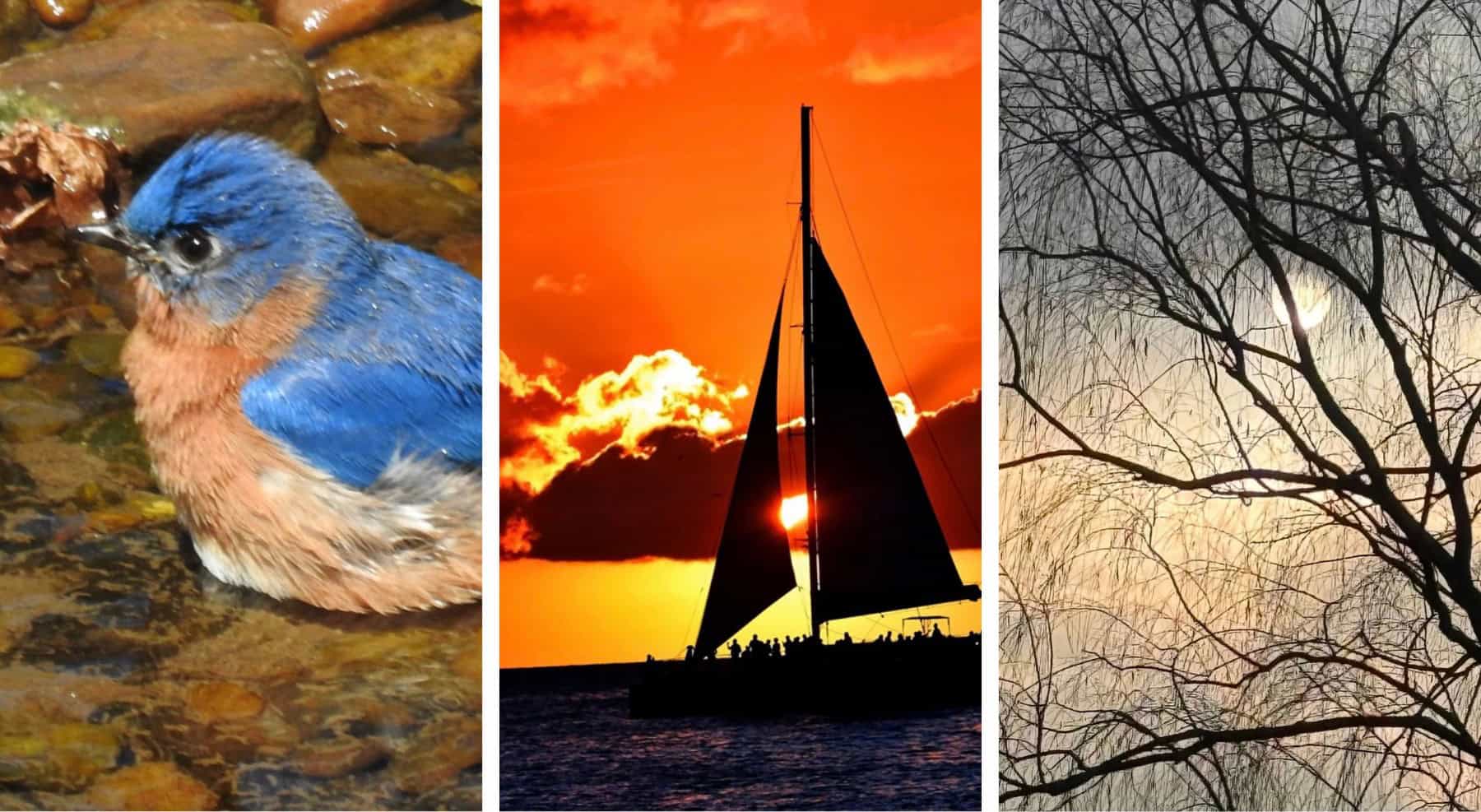 Radford Photo Club Exhibit at Glencoe 2