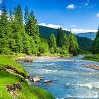 Cox, Jr., Arnold Matthew 2