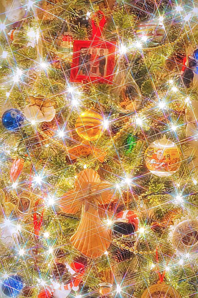 Photo club announces Holiday winners 3