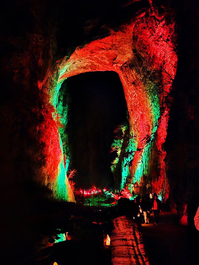 Photo club announces Holiday winners 2