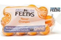 food-lion-orange-bag
