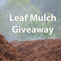leaf-mulch