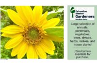 nrv-master-gardener-sale