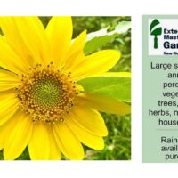 nrv-master-gardener-sale