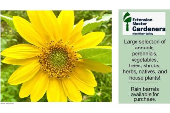 nrv-master-gardener-sale