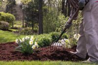 Spring Clean Up Company in Crystal Lake