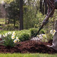 Spring Clean Up Company in Crystal Lake