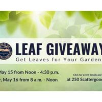 cburg-leaf-giveaway