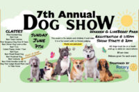dog-show