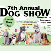 dog-show