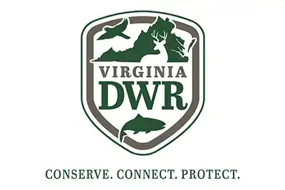 Chronic Wasting Disease surveillance results 4
