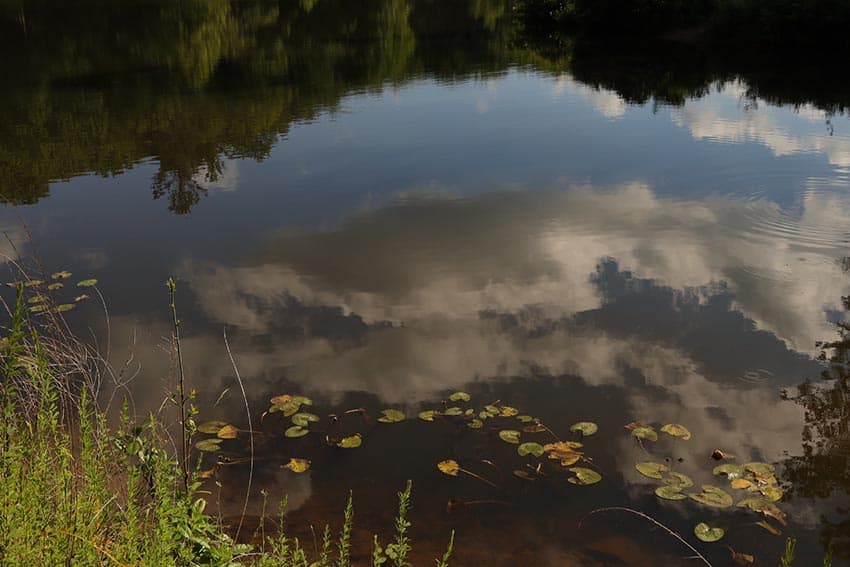 Pandapas Pond photo wins contest 1