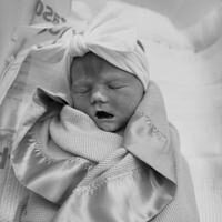 vaughn_bexley_ann