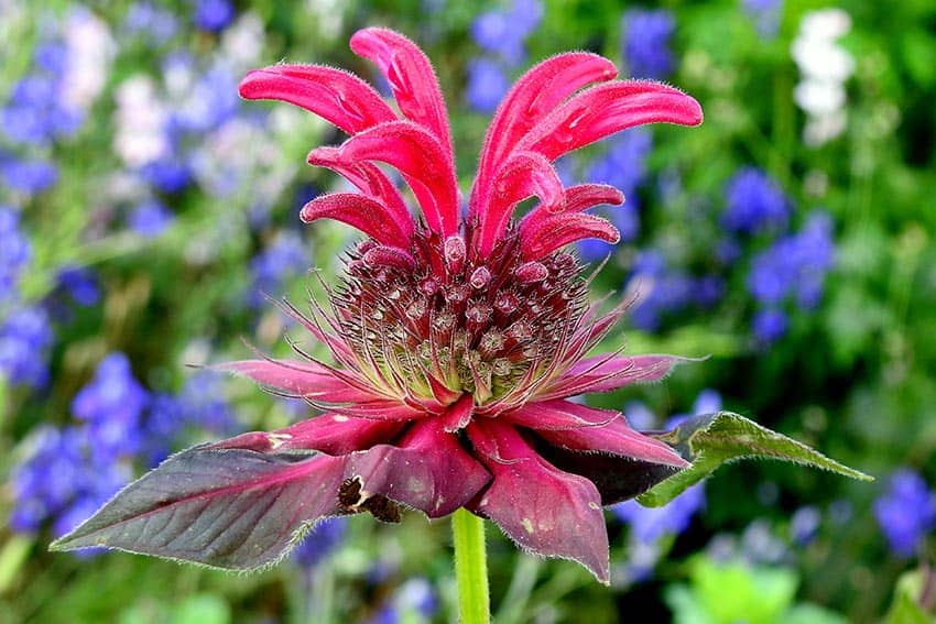 July photo club winners 3