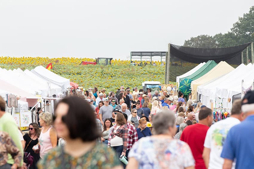 Sunflower Festival Dates for 2026 4