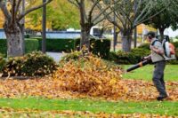 fall-cleanup