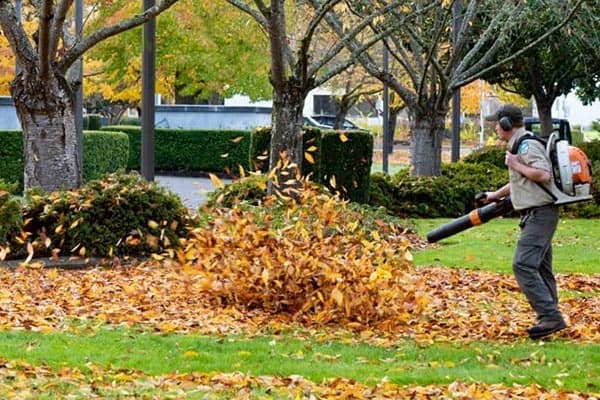 Blacksburg Fall Cleanup: Sept. 28 – Oct. 23 3 Blacksburg Fall Cleanup: Sept. 28 – Oct. 23 2