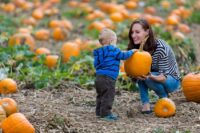 pumpkin-festival-landscape-view-photos-collection_sinkland-farms