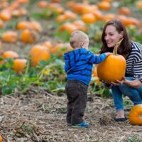 pumpkin-festival-landscape-view-photos-collection_sinkland-farms