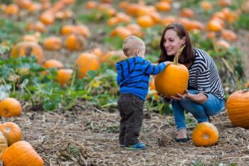 pumpkin-festival-landscape-view-photos-collection_sinkland-farms