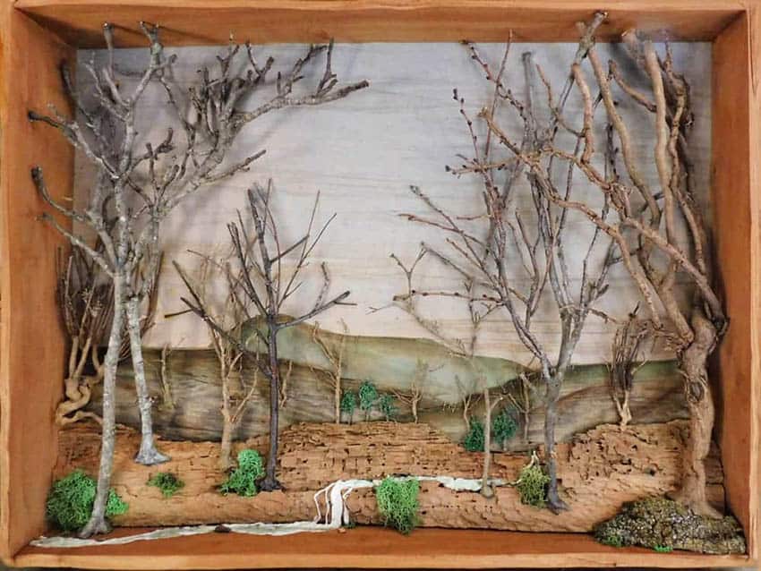 NRV Artist Wins Ribbons at Virginia State Fair 4