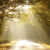 amem_sunlit-path